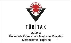 TÜBİTAK 2209-A Başarısı